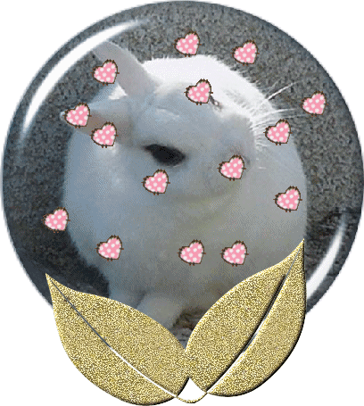 coeur