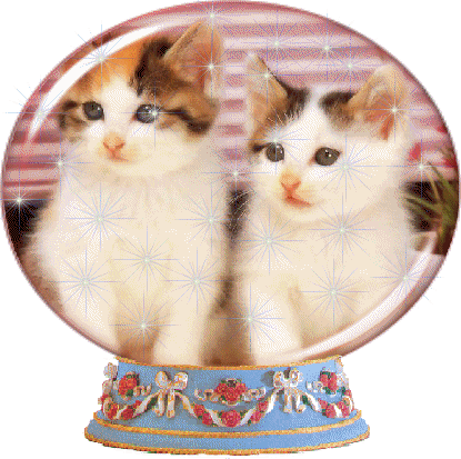 qui aime???????????
