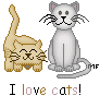 j aime les chats
