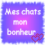mon chat mon bonheur